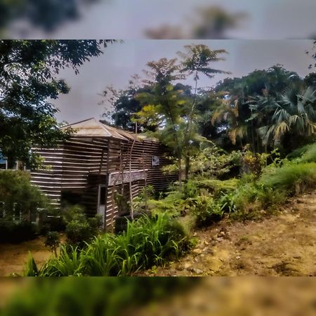 Jungle Tree House Rangala Bed and Breakfast Kandy Eksteriør billede