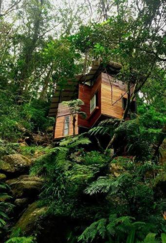 Jungle Tree House Rangala Bed and Breakfast Kandy Eksteriør billede
