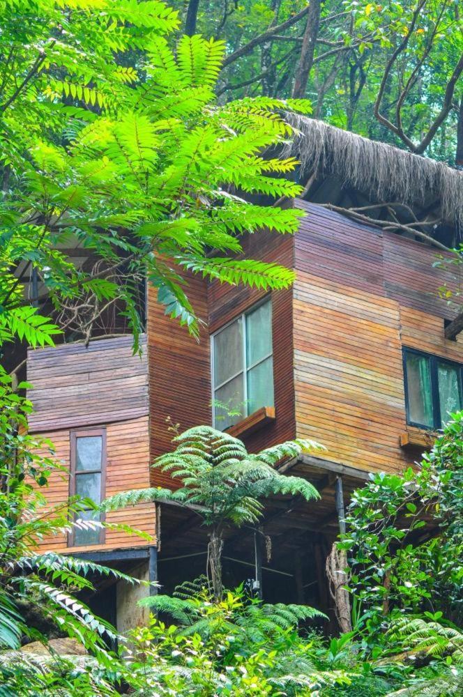 Jungle Tree House Rangala Bed and Breakfast Kandy Eksteriør billede