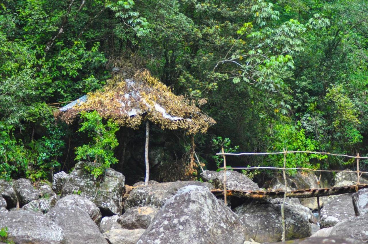 Jungle Tree House Rangala Bed and Breakfast Kandy Eksteriør billede